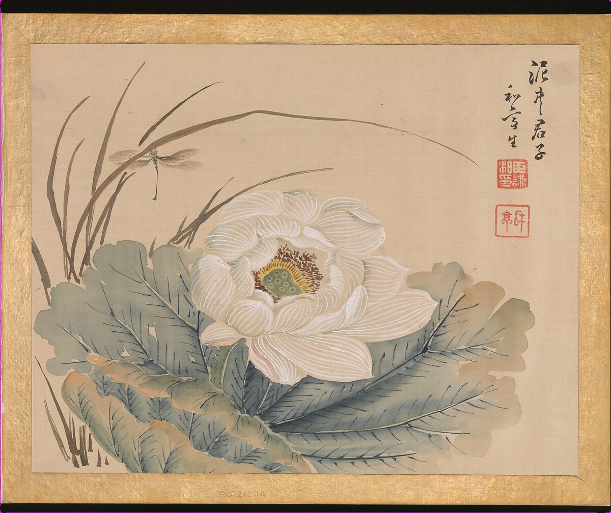 Flowers and Birds, Taki Katei (Japanese, 1830–1901), Album of twelve leaves; ink and color on silk, Japan