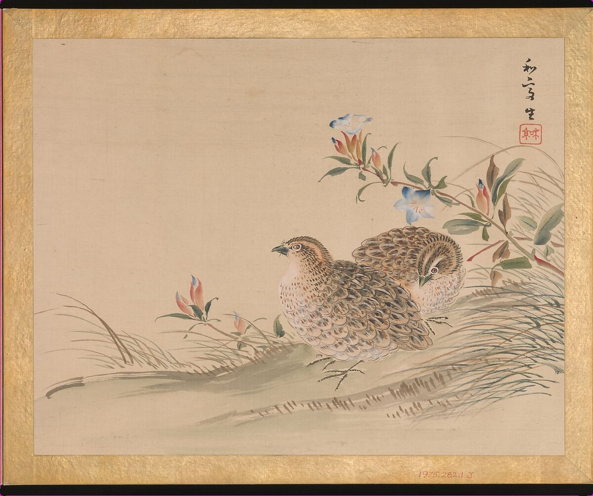 Flowers and Birds, Taki Katei (Japanese, 1830–1901), Album of twelve leaves; ink and color on silk, Japan