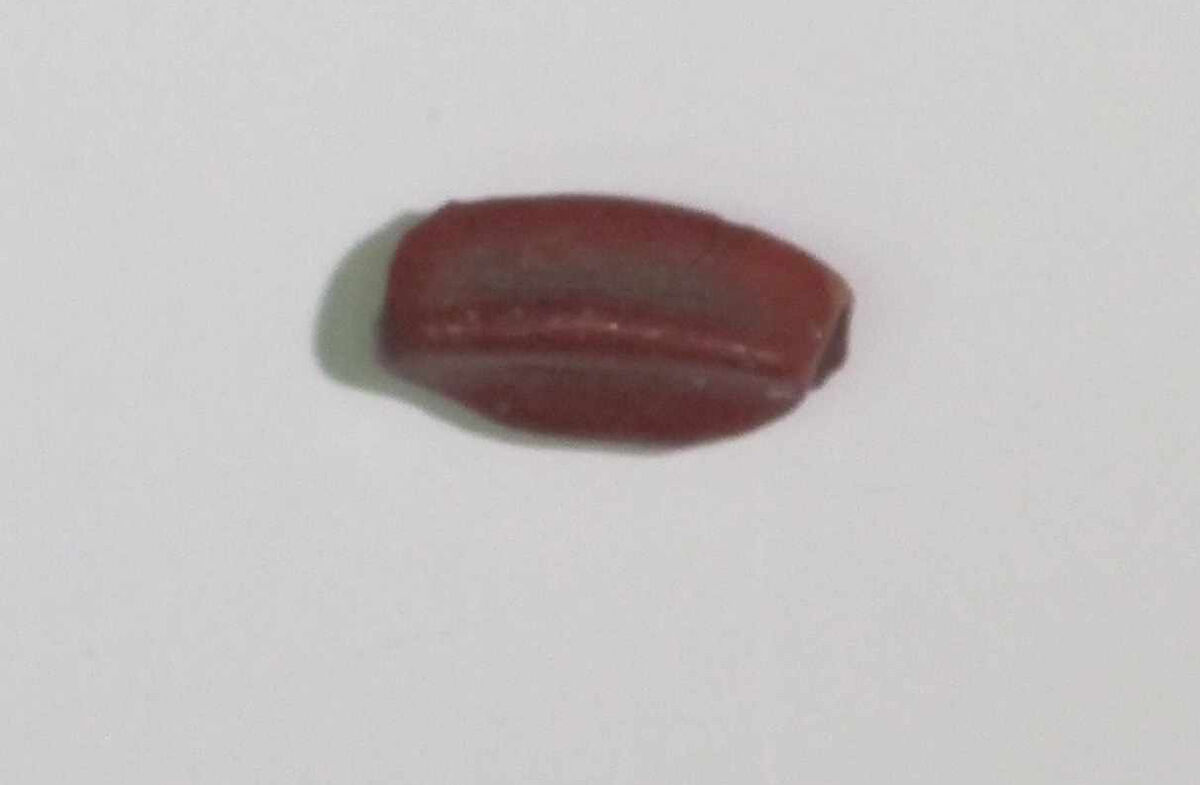 Inlay element from shrine, Glass 