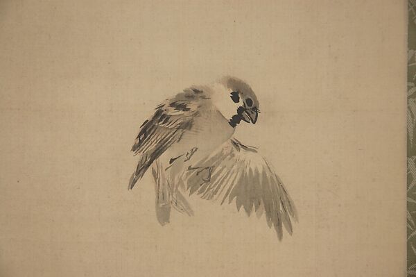 Sparrow Hovering, Takeuchi Seihō (Japanese, 1864–1942), Hanging scroll; ink and color on paper, Japan