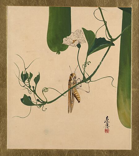 Lacquer Paintings of Various Subjects: Grasshopper on Gourd Vine