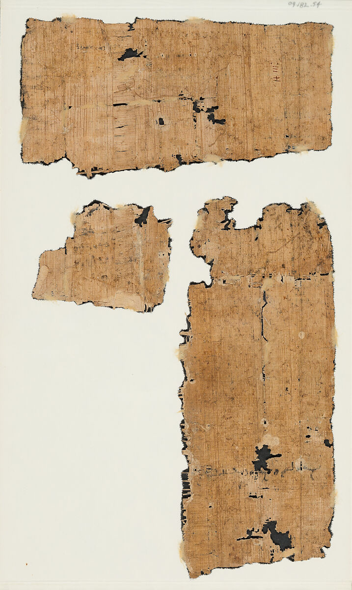 Papyrus, Papyrus