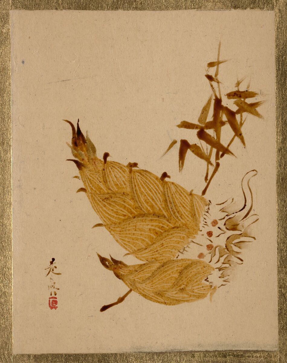 Bamboo Shoots, Shibata Zeshin (Japanese, 1807–1891), Album leaf; lacquer on paper, Japan 
