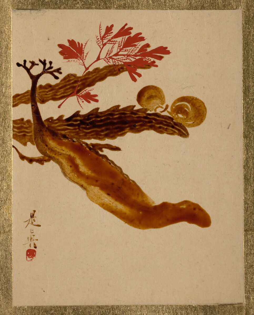 Seaweed, Shibata Zeshin (Japanese, 1807–1891), Album leaf; lacquer on paper, Japan 