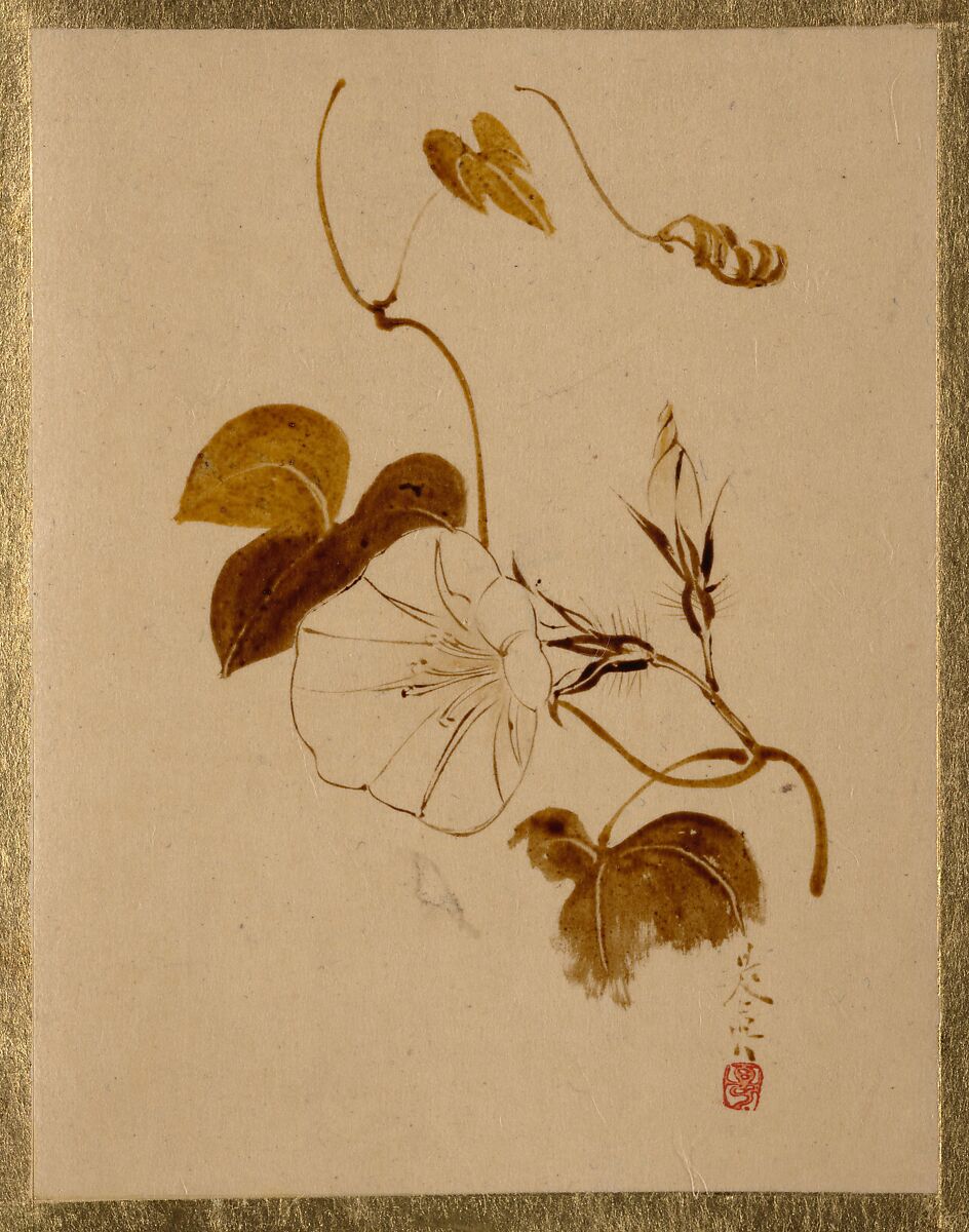 Morning Glory, Shibata Zeshin (Japanese, 1807–1891), Album leaf; lacquer on paper, Japan 