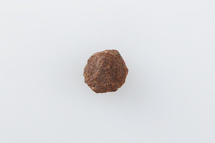 Hypocephalus Biscuit of Resin