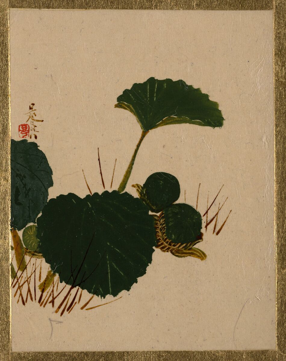 Worm on Green Leaved Plant, Shibata Zeshin (Japanese, 1807–1891), Album leaf; lacquer on paper, Japan 