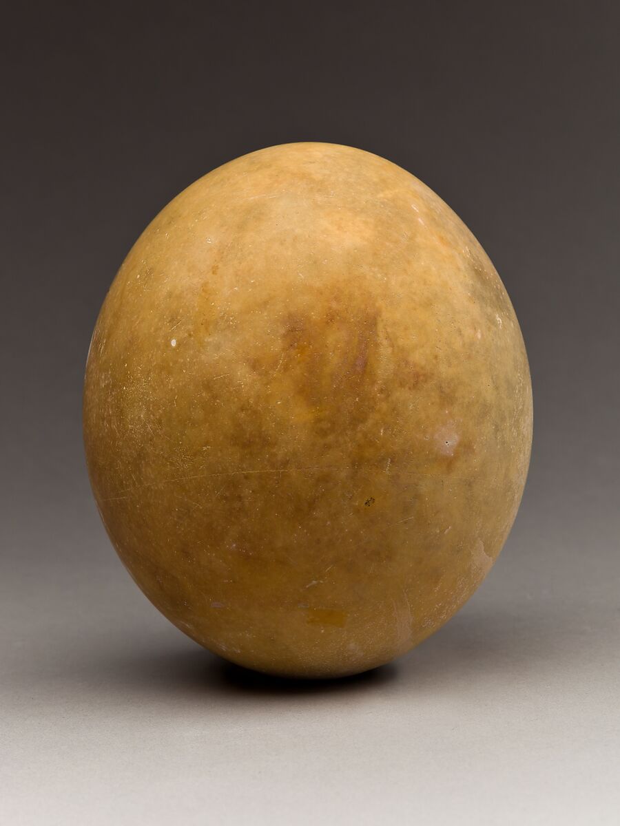 Ostrich Egg, Egg shell 