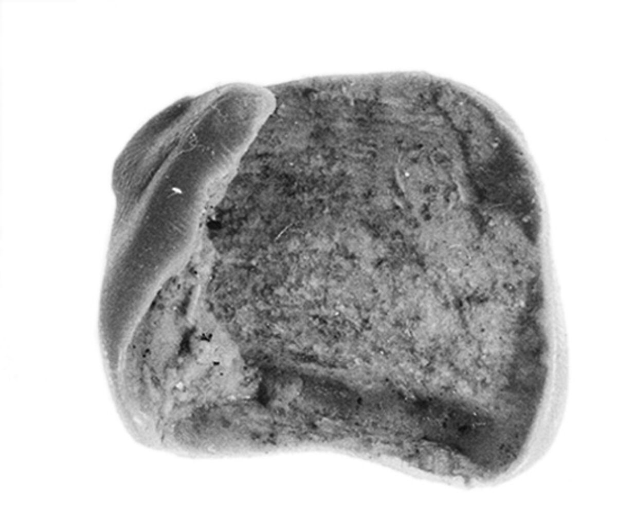 Sealing fragment, Clay (unfired)