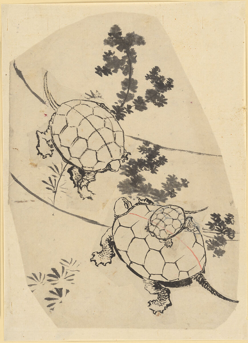 Turtles, Attributed to Katsushika Hokusai (Japanese, Tokyo (Edo) 1760–1849 Tokyo (Edo)), Ink on paper, Japan 