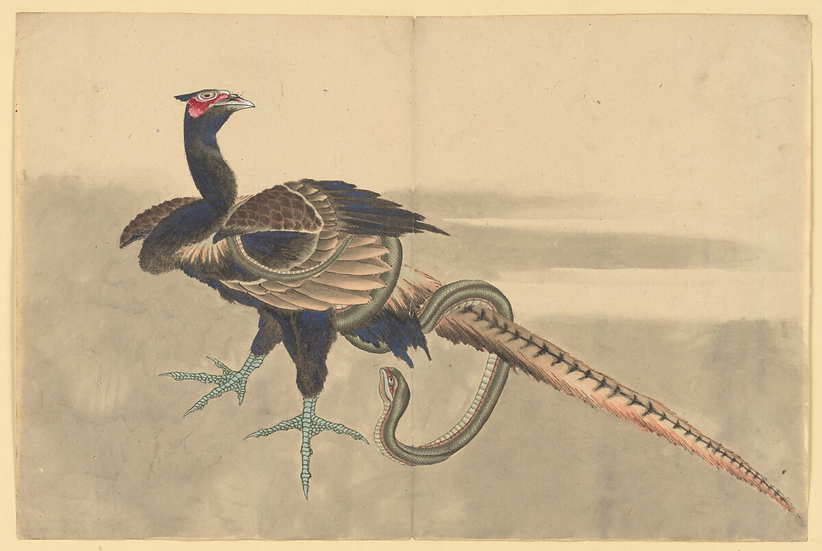 Pheasant and Snake, School of Katsushika Hokusai (Japanese, Tokyo (Edo) 1760–1849 Tokyo (Edo)), Ink and color on paper, Japan 