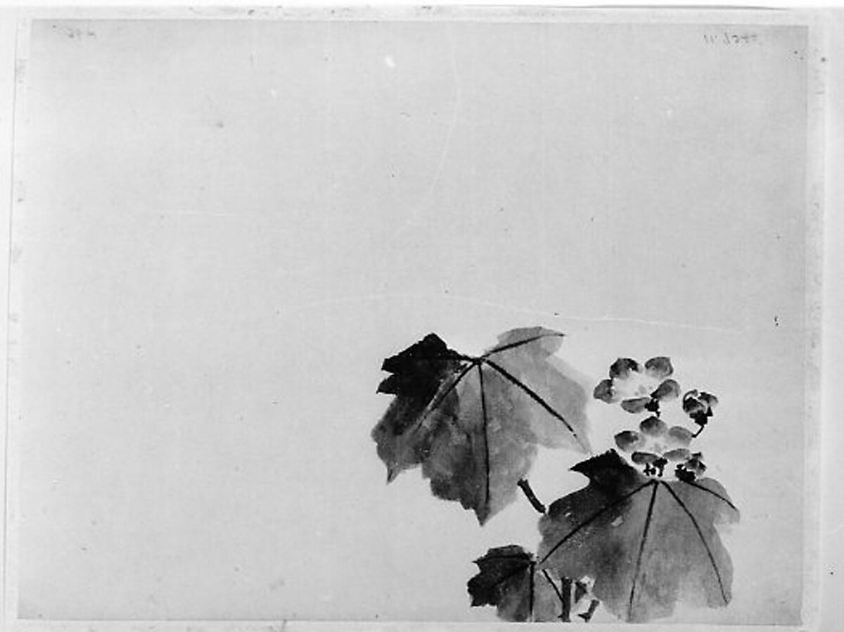 Bellflower, Hokusai School, Unmounted painting; ink and watercolor on paper, Japan 