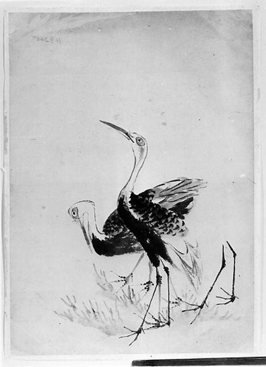 Two Cranes, Hokusai School, Unmounted painting; ink and watercolor on paper, Japan 