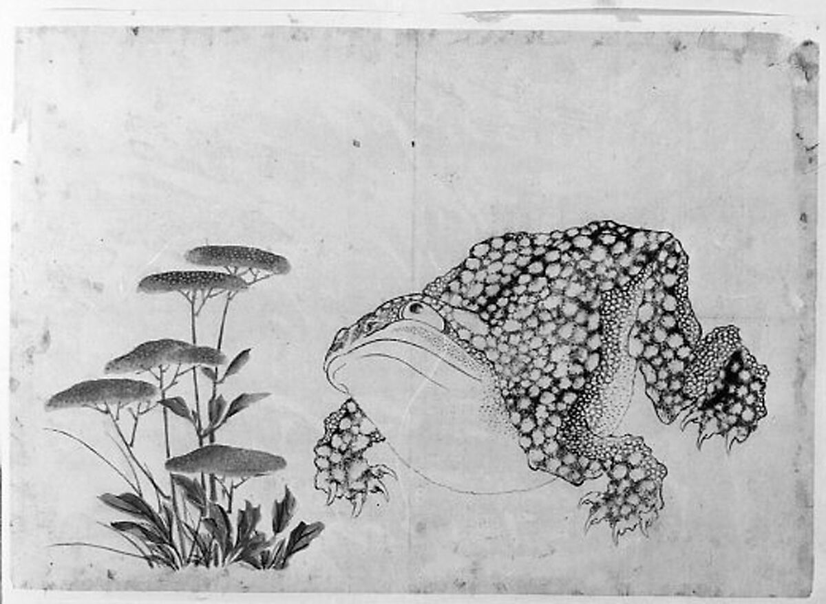 Toad and Flowers, Hokusai School, Unmounted painting; ink and color on paper, Japan 