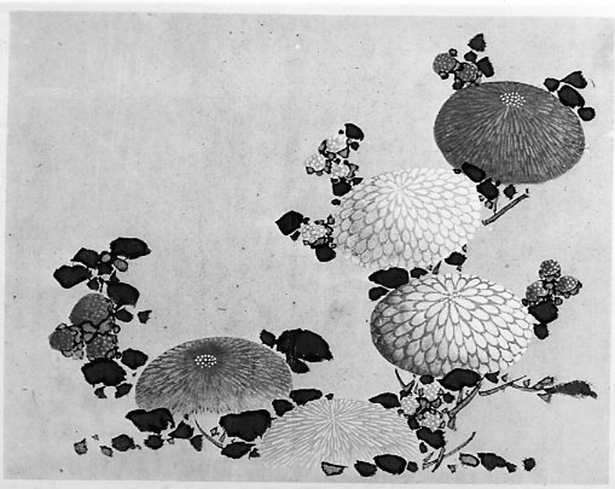 Chrysanthemums, Hokusai School, Unmounted painting; watercolor on paper, Japan 