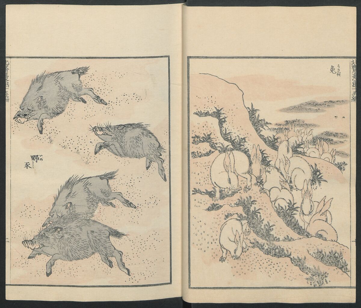 Transmitting the Spirit, Revealing the Form of Things: Hokusai Sketchbooks (Denshin kaishu: Hokusai manga, jūgohen) 伝神開手 北斎漫画 十五編: vol. 15, Katsushika Hokusai 葛飾北斎 (Japanese, Tokyo (Edo) 1760–1849 Tokyo (Edo)), Woodblock printed book; ink and color on paper, Japan