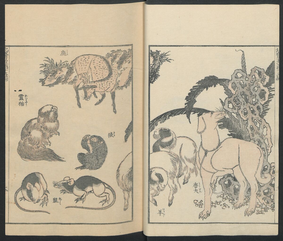 Transmitting the Spirit, Revealing the Form of Things: Hokusai Sketchbooks (Denshin kaishu: Hokusai manga, jūgohen) 伝神開手 北斎漫画 十五編: vol. 15, Katsushika Hokusai 葛飾北斎 (Japanese, Tokyo (Edo) 1760–1849 Tokyo (Edo)), Woodblock printed book; ink and color on paper, Japan