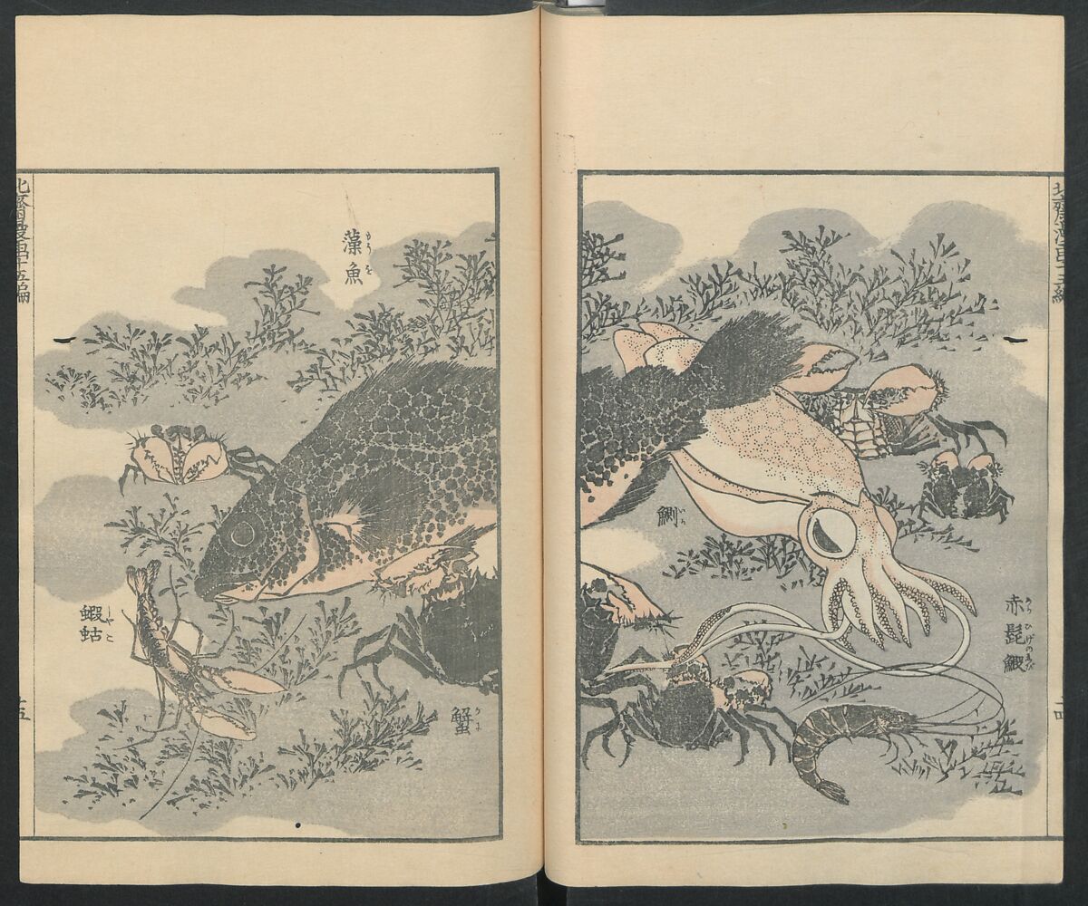 Transmitting the Spirit, Revealing the Form of Things: Hokusai Sketchbooks (Denshin kaishu: Hokusai manga, jūgohen) 伝神開手 北斎漫画 十五編: vol. 15, Katsushika Hokusai 葛飾北斎 (Japanese, Tokyo (Edo) 1760–1849 Tokyo (Edo)), Woodblock printed book; ink and color on paper, Japan