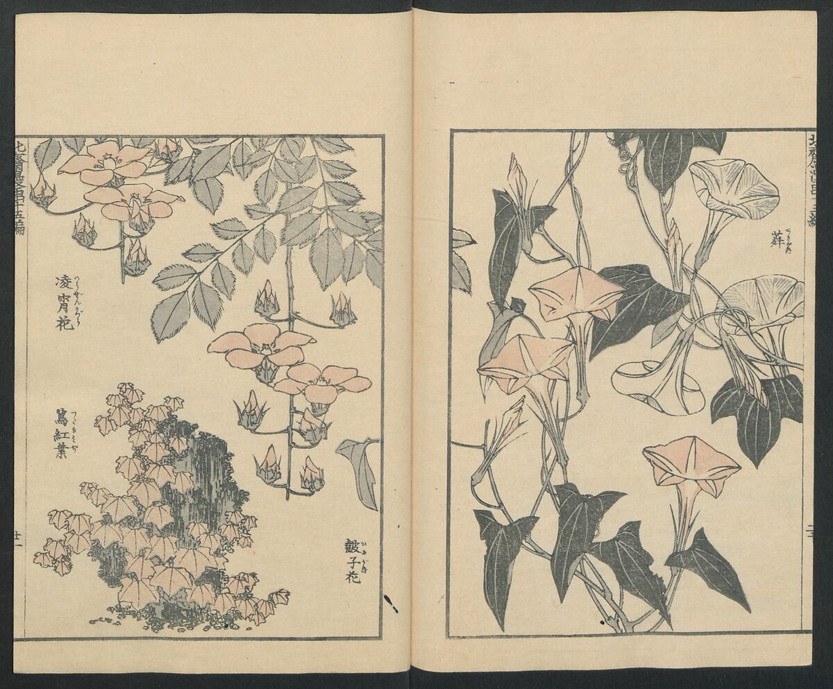 Transmitting the Spirit, Revealing the Form of Things: Hokusai Sketchbooks (Denshin kaishu: Hokusai manga, jūgohen) 伝神開手 北斎漫画 十五編: vol. 15, Katsushika Hokusai 葛飾北斎 (Japanese, Tokyo (Edo) 1760–1849 Tokyo (Edo)), Woodblock printed book; ink and color on paper, Japan
