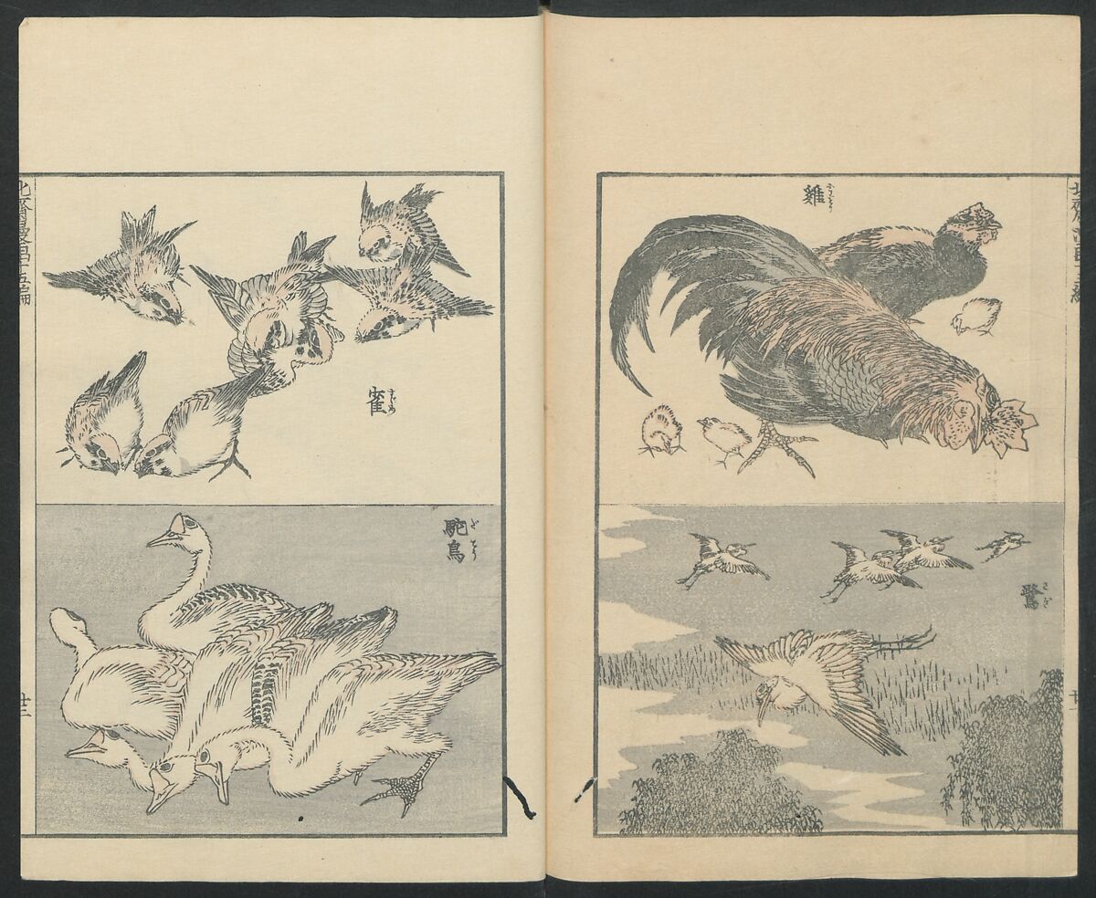 Transmitting the Spirit, Revealing the Form of Things: Hokusai Sketchbooks (Denshin kaishu: Hokusai manga, jūgohen) 伝神開手 北斎漫画 十五編: vol. 15, Katsushika Hokusai 葛飾北斎 (Japanese, Tokyo (Edo) 1760–1849 Tokyo (Edo)), Woodblock printed book; ink and color on paper, Japan