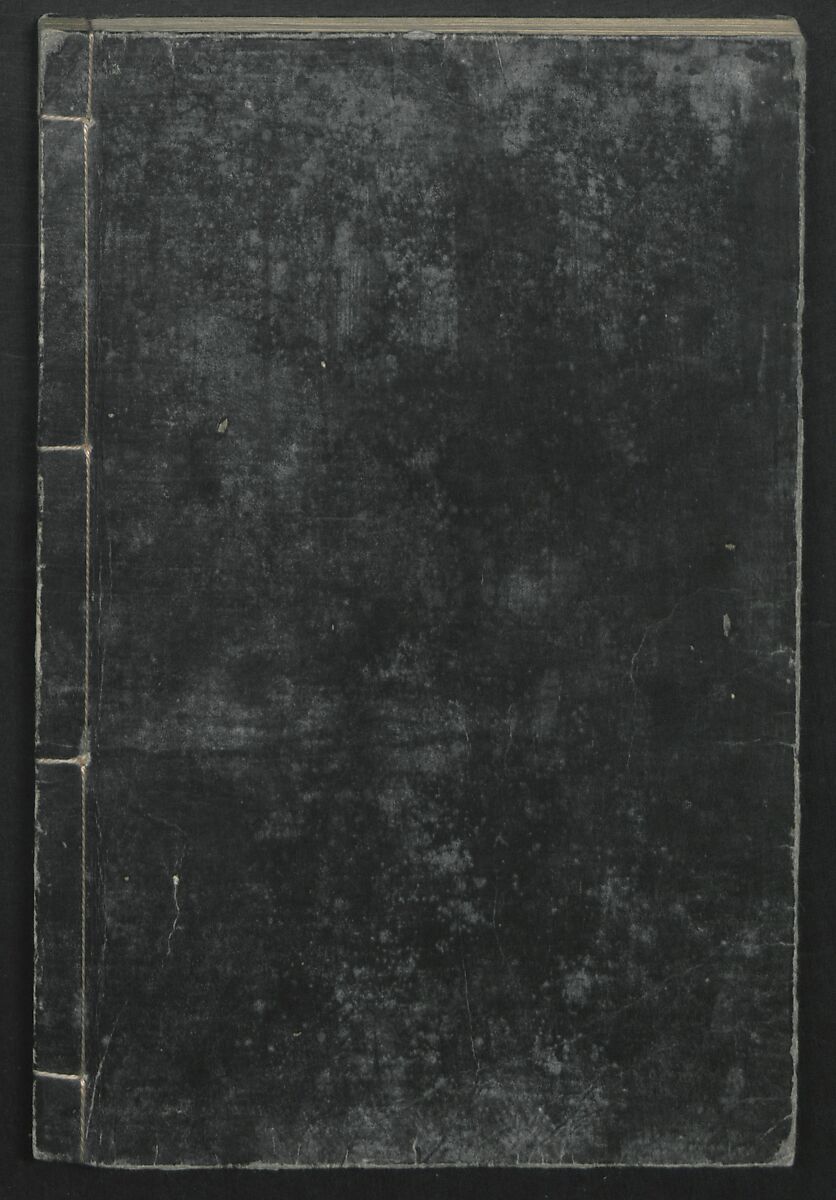 Transmitting the Spirit, Revealing the Form of Things: Hokusai Sketchbooks (Denshin kaishu: Hokusai manga, jūgohen) 伝神開手 北斎漫画 十五編: vol. 15, Katsushika Hokusai 葛飾北斎 (Japanese, Tokyo (Edo) 1760–1849 Tokyo (Edo)), Woodblock printed book; ink and color on paper, Japan