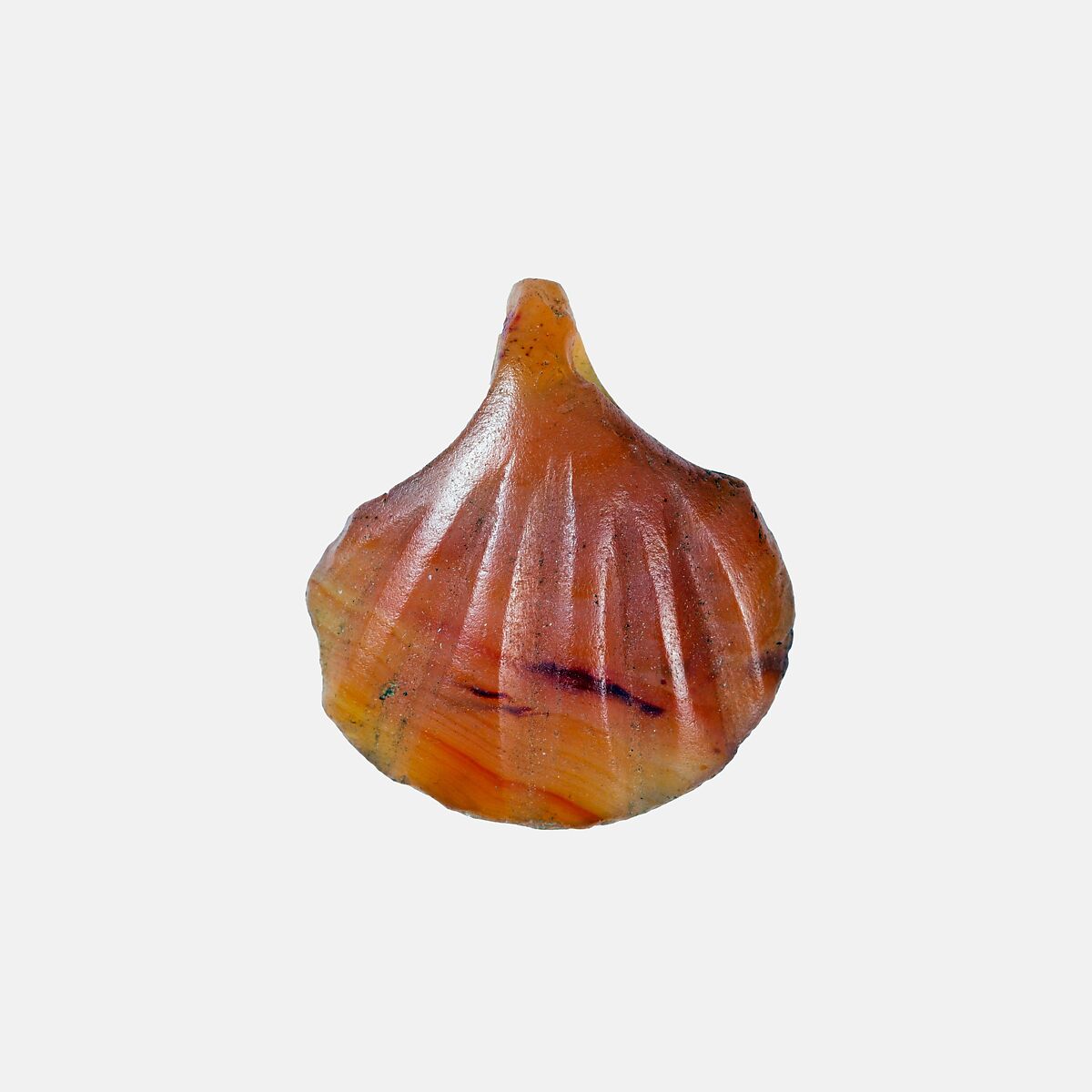 Shell Amulet, Carnelian 