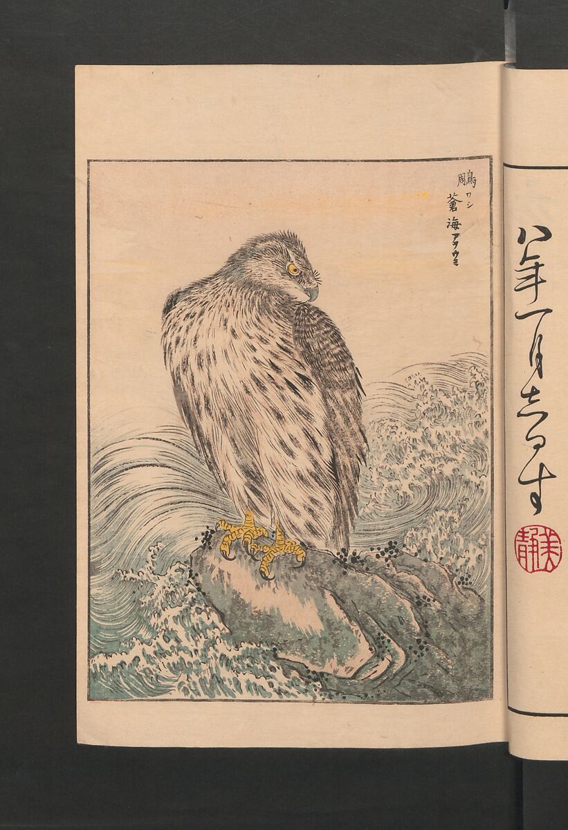Picture Album of Various Birds (Shūchō gafu)  聚鳥畫譜, Numata Kashū 沼田荷舟 (Japanese, 1838–1901), Polychrome woodblock printed book; ink and color on paper, Japan