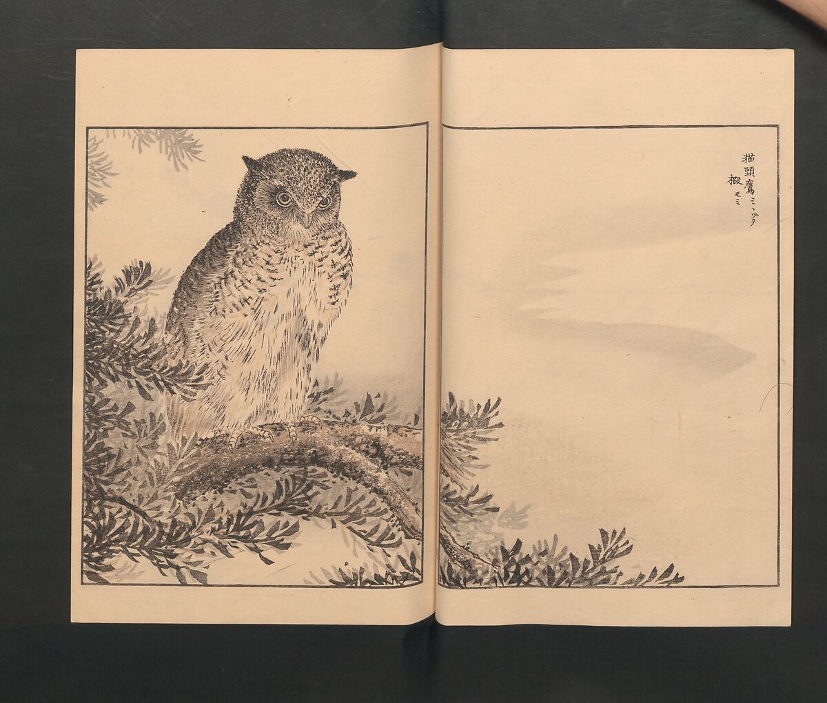 Picture Album of Various Birds (Shūchō gafu)  聚鳥畫譜, Numata Kashū 沼田荷舟 (Japanese, 1838–1901), Polychrome woodblock printed book; ink and color on paper, Japan