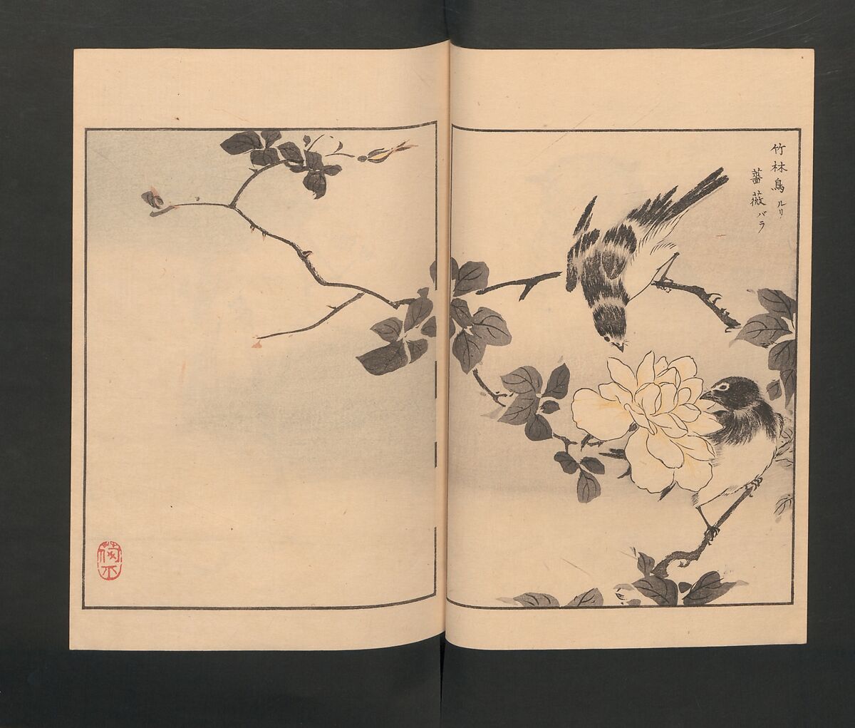Picture Album of Various Birds (Shūchō gafu)  聚鳥畫譜, Numata Kashū 沼田荷舟 (Japanese, 1838–1901), Polychrome woodblock printed book; ink and color on paper, Japan