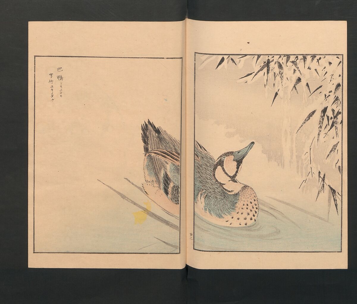 Picture Album of Various Birds (Shūchō gafu)  聚鳥畫譜, Numata Kashū 沼田荷舟 (Japanese, 1838–1901), Polychrome woodblock printed book; ink and color on paper, Japan