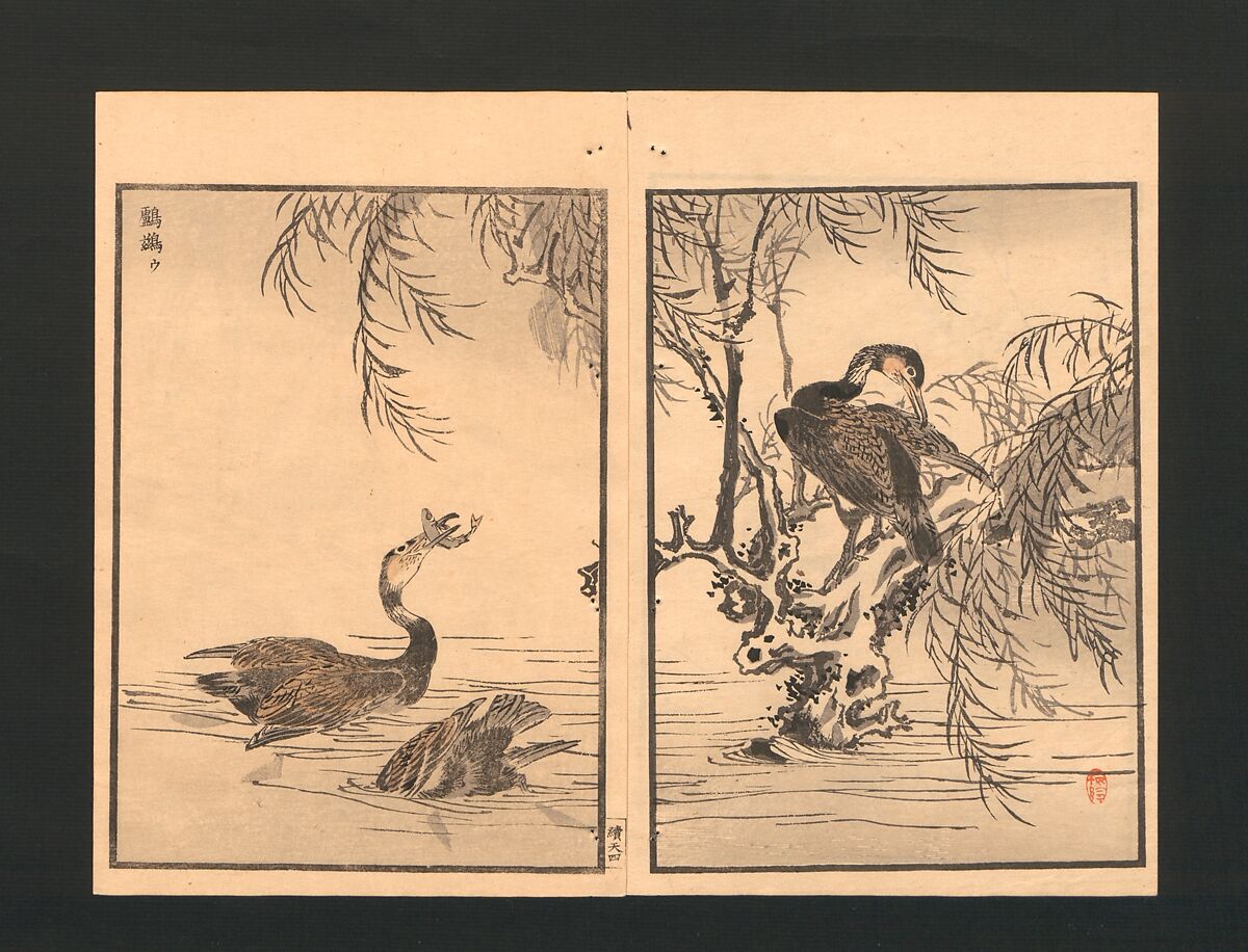 Bairei Picture Album of One Hundred Birds (Bairei hyakuchō gafu) 楳嶺百鳥畫譜, Kōno Bairei  幸野楳嶺 (Japanese, 1844–1895), Set of three polychrome woodblock printed books; ink and color on paper, Japan