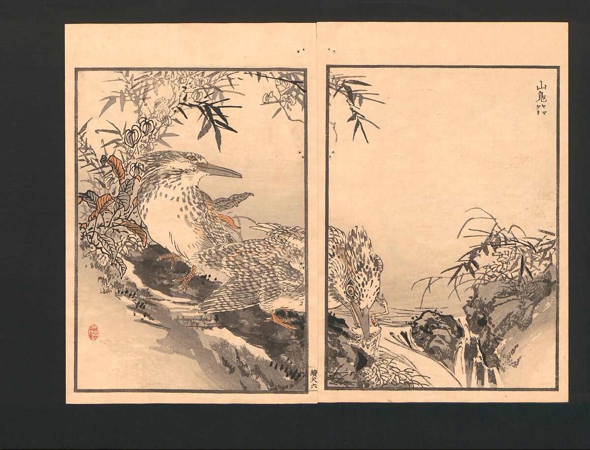 Bairei Picture Album of One Hundred Birds (Bairei hyakuchō gafu) 楳嶺百鳥畫譜, Kōno Bairei  幸野楳嶺 (Japanese, 1844–1895), Set of three polychrome woodblock printed books; ink and color on paper, Japan