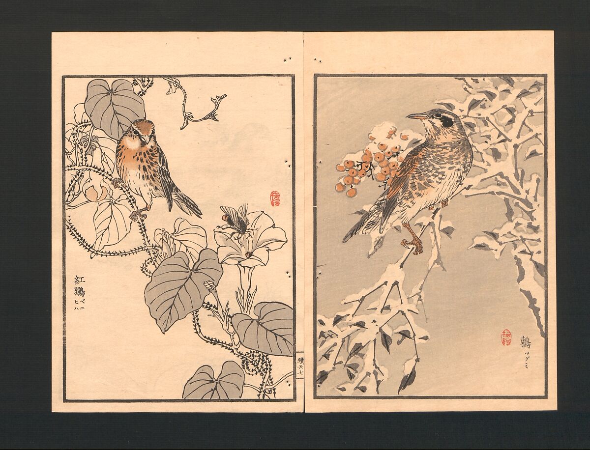 Bairei Picture Album of One Hundred Birds (Bairei hyakuchō gafu) 楳嶺百鳥畫譜, Kōno Bairei  幸野楳嶺 (Japanese, 1844–1895), Set of three polychrome woodblock printed books; ink and color on paper, Japan
