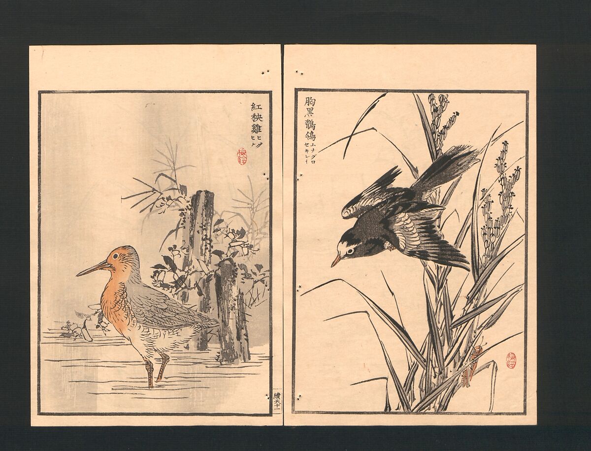 Bairei Picture Album of One Hundred Birds (Bairei hyakuchō gafu) 楳嶺百鳥畫譜, Kōno Bairei  幸野楳嶺 (Japanese, 1844–1895), Set of three polychrome woodblock printed books; ink and color on paper, Japan