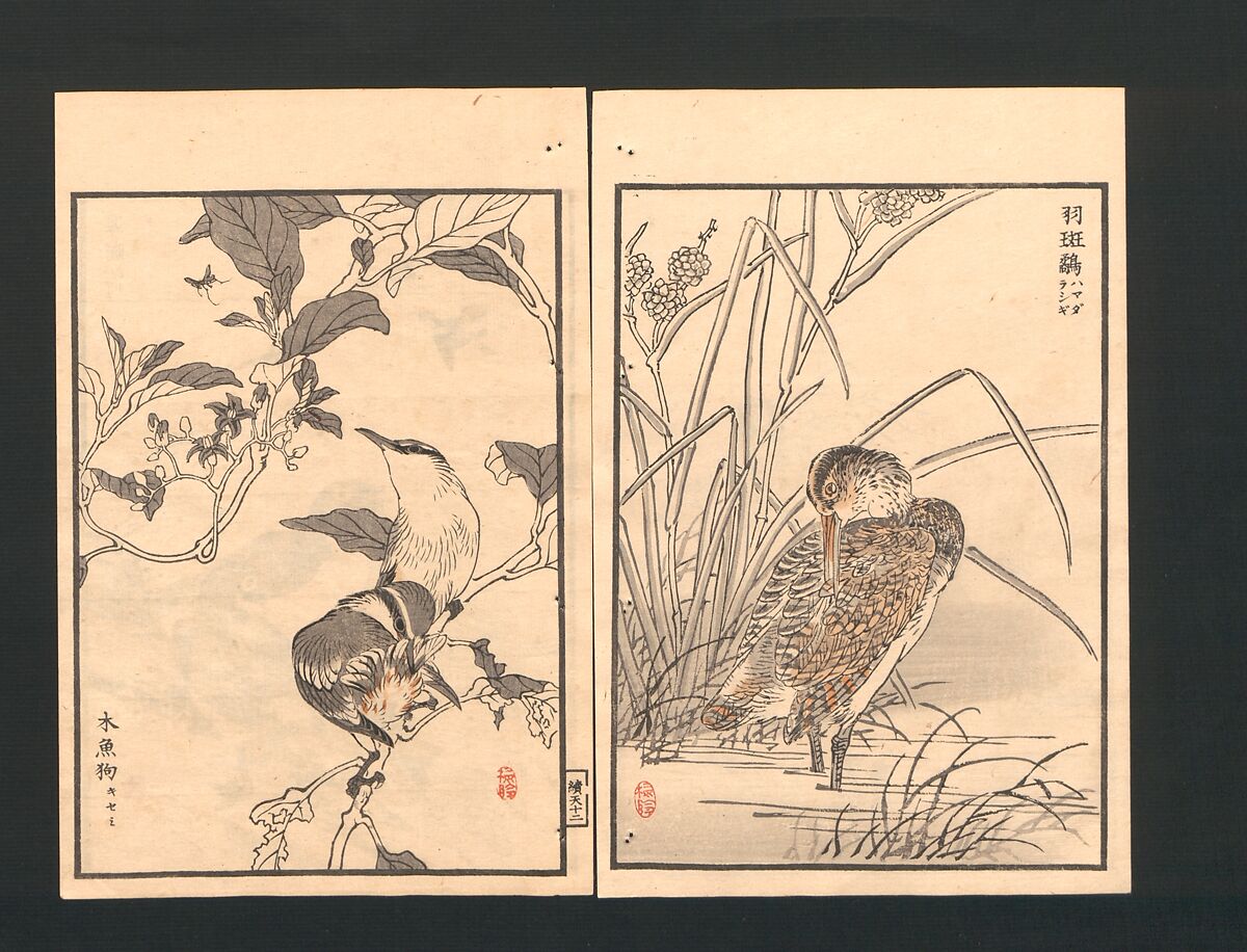 Bairei Picture Album of One Hundred Birds (Bairei hyakuchō gafu) 楳嶺百鳥畫譜, Kōno Bairei  幸野楳嶺 (Japanese, 1844–1895), Set of three polychrome woodblock printed books; ink and color on paper, Japan