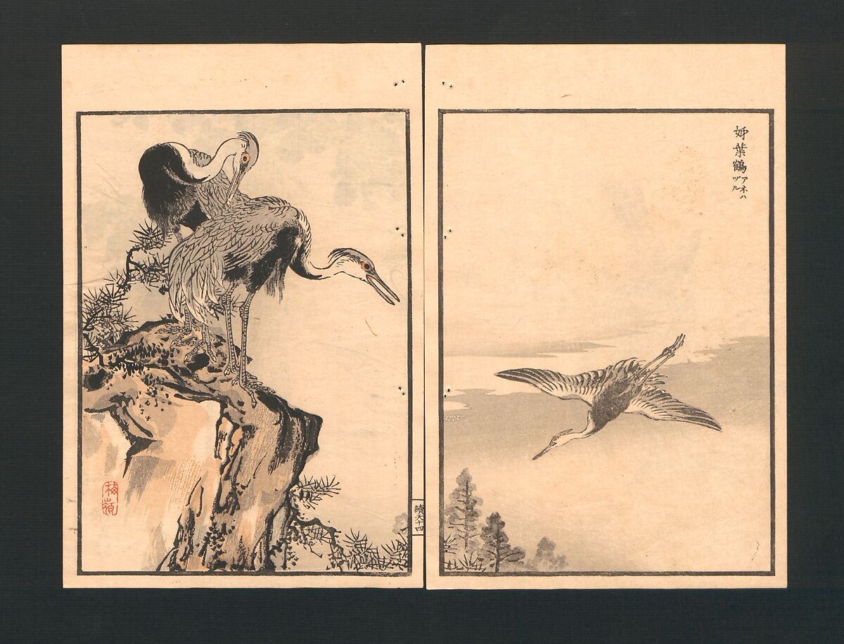 Bairei Picture Album of One Hundred Birds (Bairei hyakuchō gafu) 楳嶺百鳥畫譜, Kōno Bairei  幸野楳嶺 (Japanese, 1844–1895), Set of three polychrome woodblock printed books; ink and color on paper, Japan