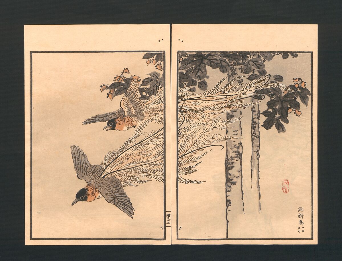 Bairei Picture Album of One Hundred Birds (Bairei hyakuchō gafu) 楳嶺百鳥畫譜, Kōno Bairei  幸野楳嶺 (Japanese, 1844–1895), Set of three polychrome woodblock printed books; ink and color on paper, Japan