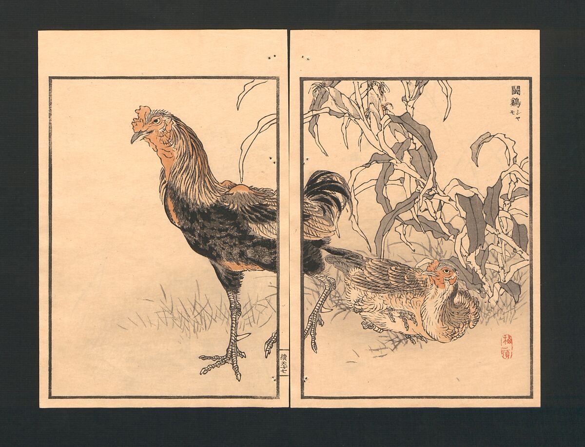 Bairei Picture Album of One Hundred Birds (Bairei hyakuchō gafu) 楳嶺百鳥畫譜, Kōno Bairei  幸野楳嶺 (Japanese, 1844–1895), Set of three polychrome woodblock printed books; ink and color on paper, Japan