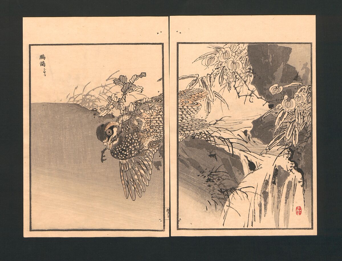 Bairei Picture Album of One Hundred Birds (Bairei hyakuchō gafu) 楳嶺百鳥畫譜, Kōno Bairei  幸野楳嶺 (Japanese, 1844–1895), Set of three polychrome woodblock printed books; ink and color on paper, Japan