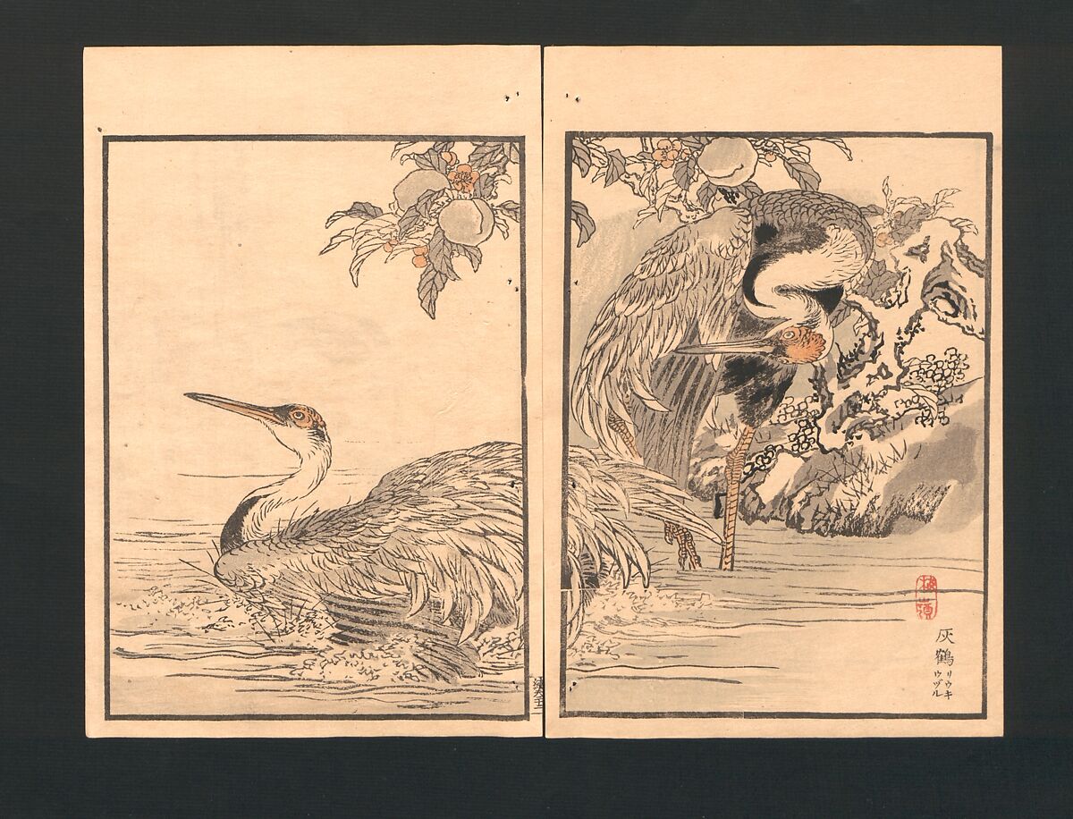 Bairei Picture Album of One Hundred Birds (Bairei hyakuchō gafu) 楳嶺百鳥畫譜, Kōno Bairei  幸野楳嶺 (Japanese, 1844–1895), Set of three polychrome woodblock printed books; ink and color on paper, Japan