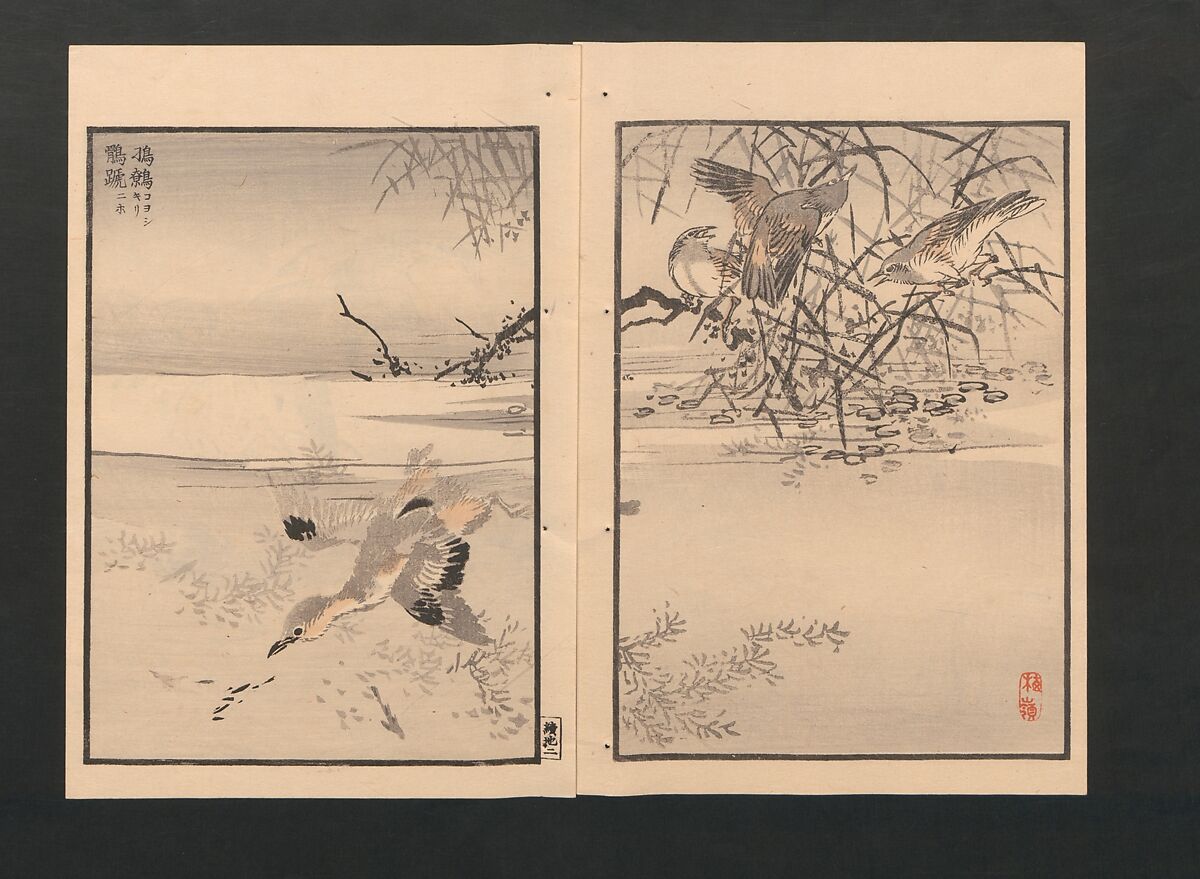 Bairei Picture Album of One Hundred Birds (Bairei hyakuchō gafu) 楳嶺百鳥畫譜, Kōno Bairei  幸野楳嶺 (Japanese, 1844–1895), Set of three polychrome woodblock printed books; ink and color on paper, Japan