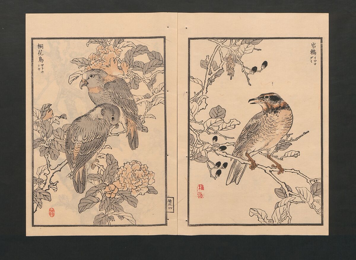 Bairei Picture Album of One Hundred Birds (Bairei hyakuchō gafu) 楳嶺百鳥畫譜, Kōno Bairei  幸野楳嶺 (Japanese, 1844–1895), Set of three polychrome woodblock printed books; ink and color on paper, Japan