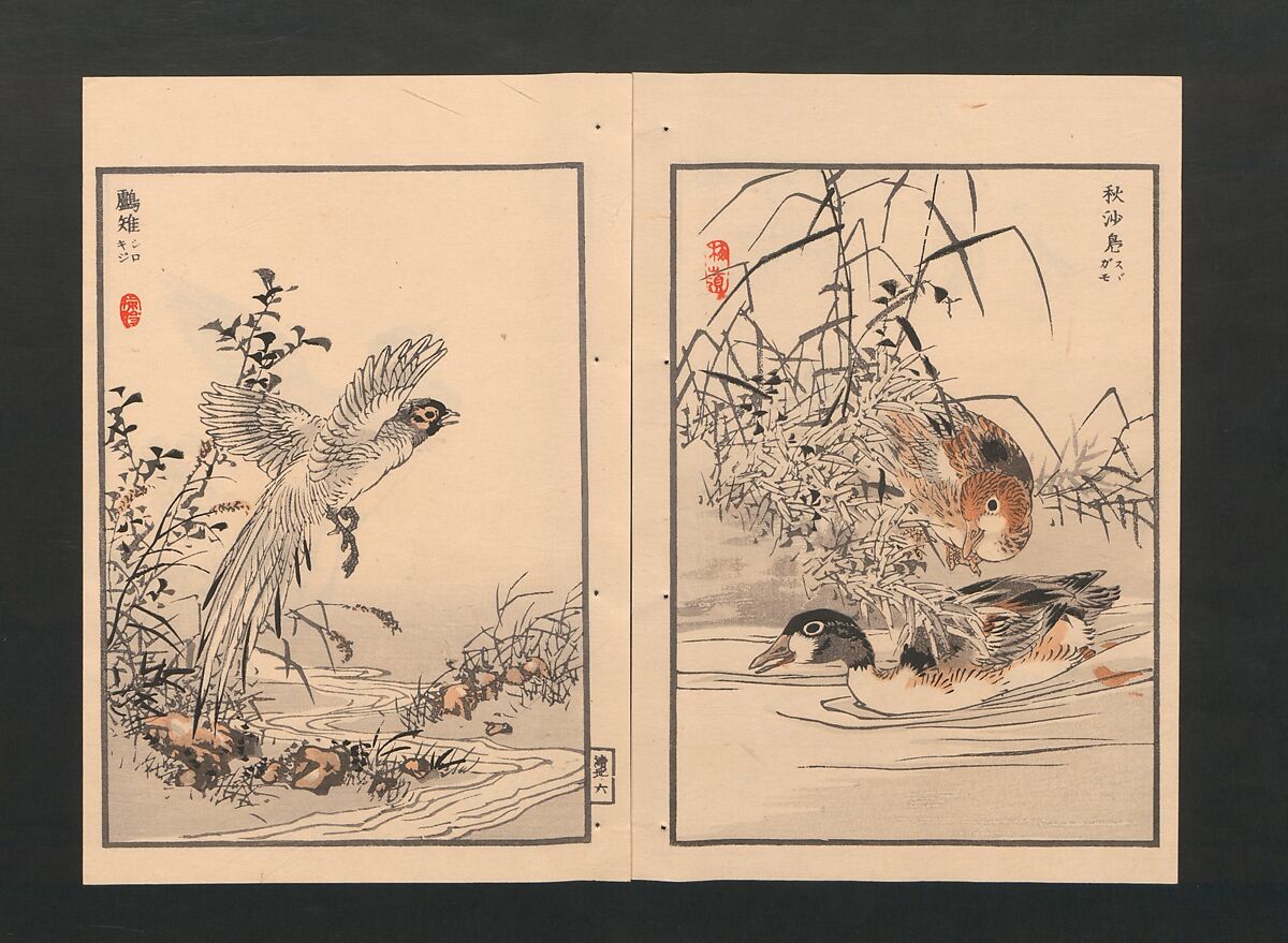 Bairei Picture Album of One Hundred Birds (Bairei hyakuchō gafu) 楳嶺百鳥畫譜, Kōno Bairei  幸野楳嶺 (Japanese, 1844–1895), Set of three polychrome woodblock printed books; ink and color on paper, Japan