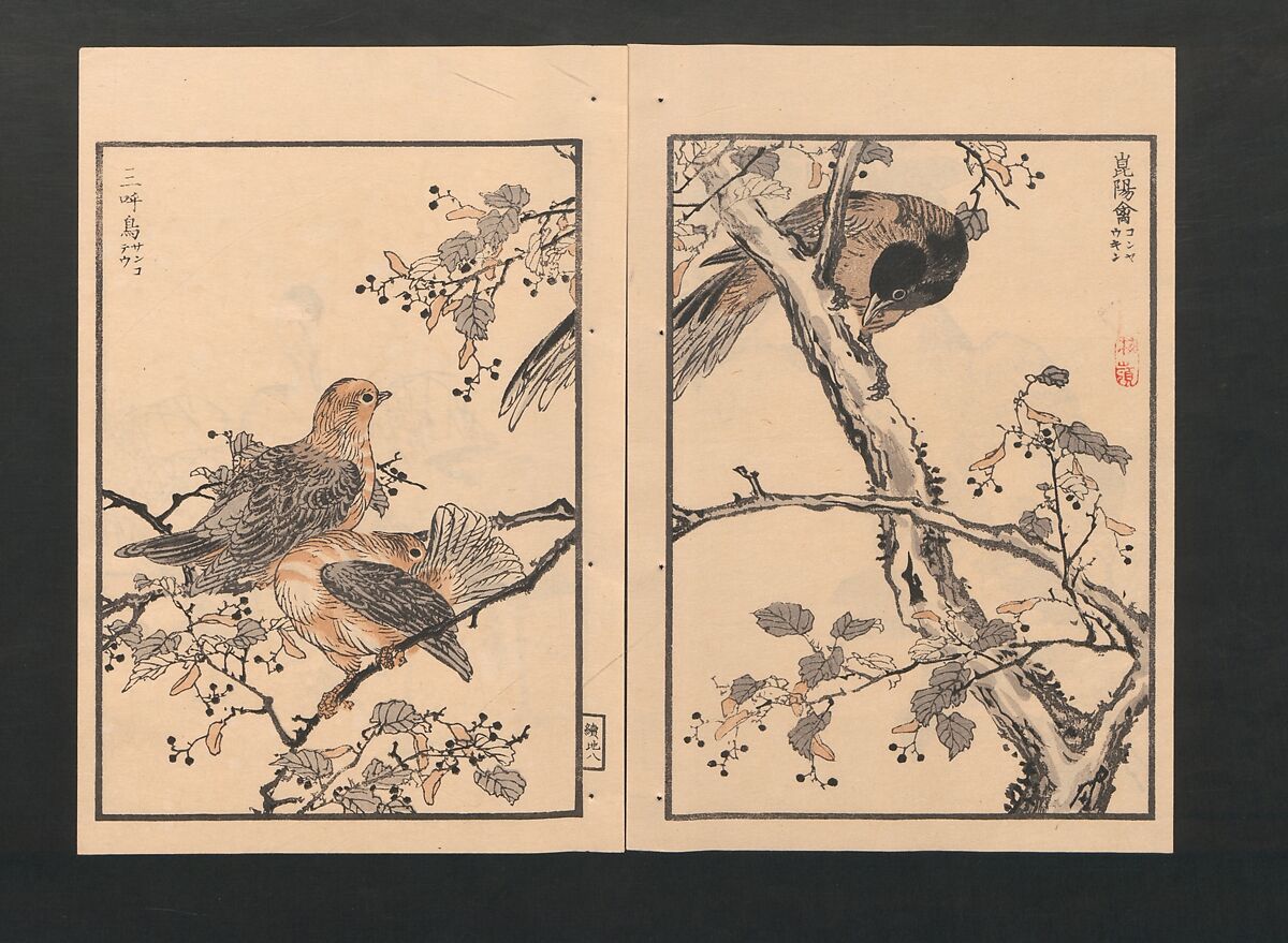Bairei Picture Album of One Hundred Birds (Bairei hyakuchō gafu) 楳嶺百鳥畫譜, Kōno Bairei  幸野楳嶺 (Japanese, 1844–1895), Set of three polychrome woodblock printed books; ink and color on paper, Japan