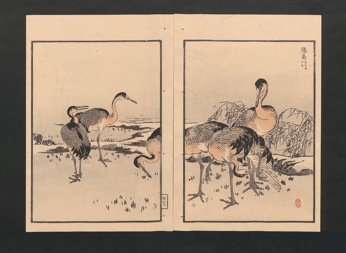 Bairei Picture Album of One Hundred Birds (Bairei hyakuchō gafu) 楳嶺百鳥畫譜, Kōno Bairei  幸野楳嶺 (Japanese, 1844–1895), Set of three polychrome woodblock printed books; ink and color on paper, Japan