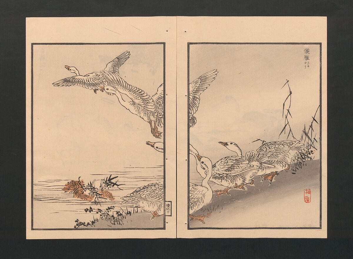 Bairei Picture Album of One Hundred Birds (Bairei hyakuchō gafu) 楳嶺百鳥畫譜, Kōno Bairei  幸野楳嶺 (Japanese, 1844–1895), Set of three polychrome woodblock printed books; ink and color on paper, Japan