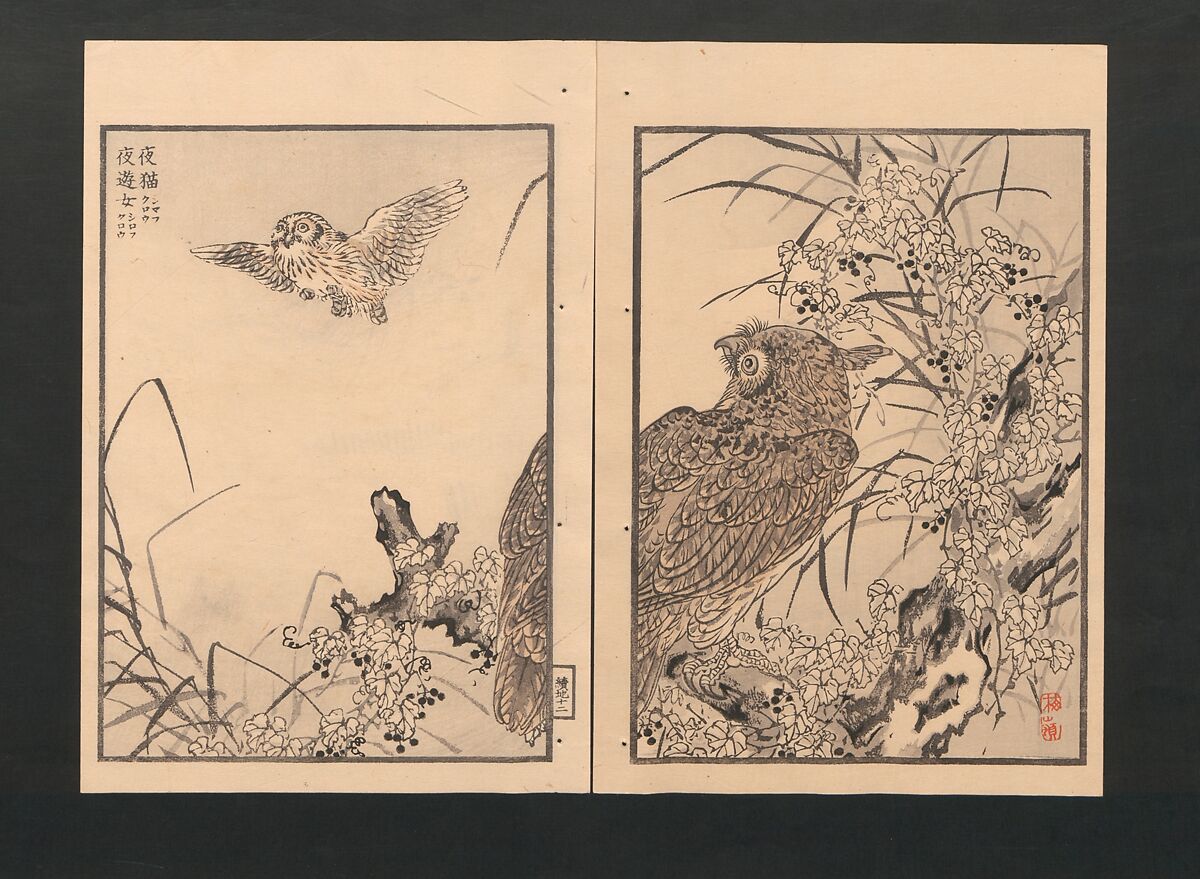 Bairei Picture Album of One Hundred Birds (Bairei hyakuchō gafu) 楳嶺百鳥畫譜, Kōno Bairei  幸野楳嶺 (Japanese, 1844–1895), Set of three polychrome woodblock printed books; ink and color on paper, Japan