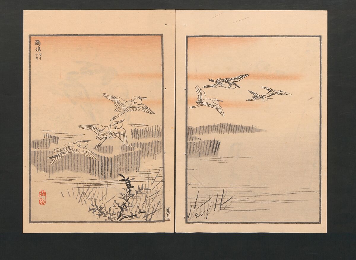 Bairei Picture Album of One Hundred Birds (Bairei hyakuchō gafu) 楳嶺百鳥畫譜, Kōno Bairei  幸野楳嶺 (Japanese, 1844–1895), Set of three polychrome woodblock printed books; ink and color on paper, Japan
