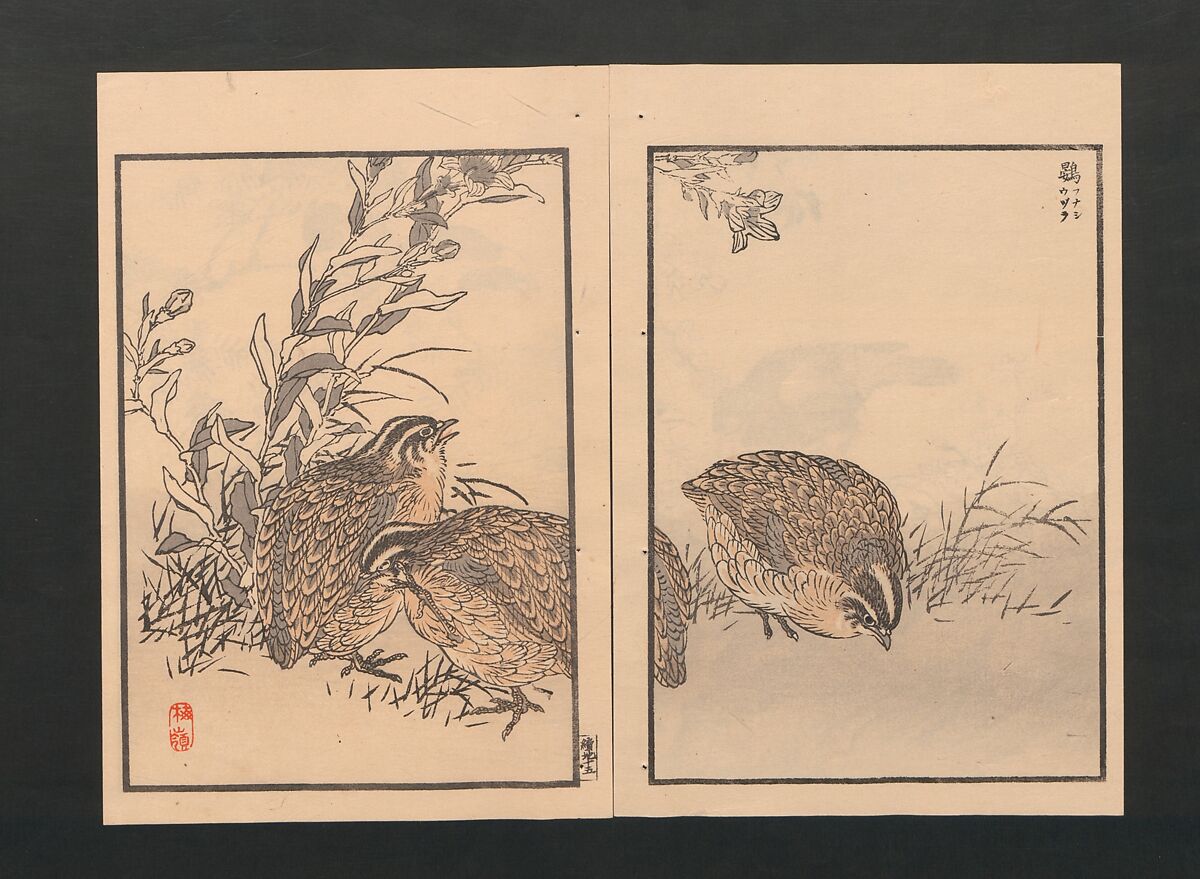 Bairei Picture Album of One Hundred Birds (Bairei hyakuchō gafu) 楳嶺百鳥畫譜, Kōno Bairei  幸野楳嶺 (Japanese, 1844–1895), Set of three polychrome woodblock printed books; ink and color on paper, Japan