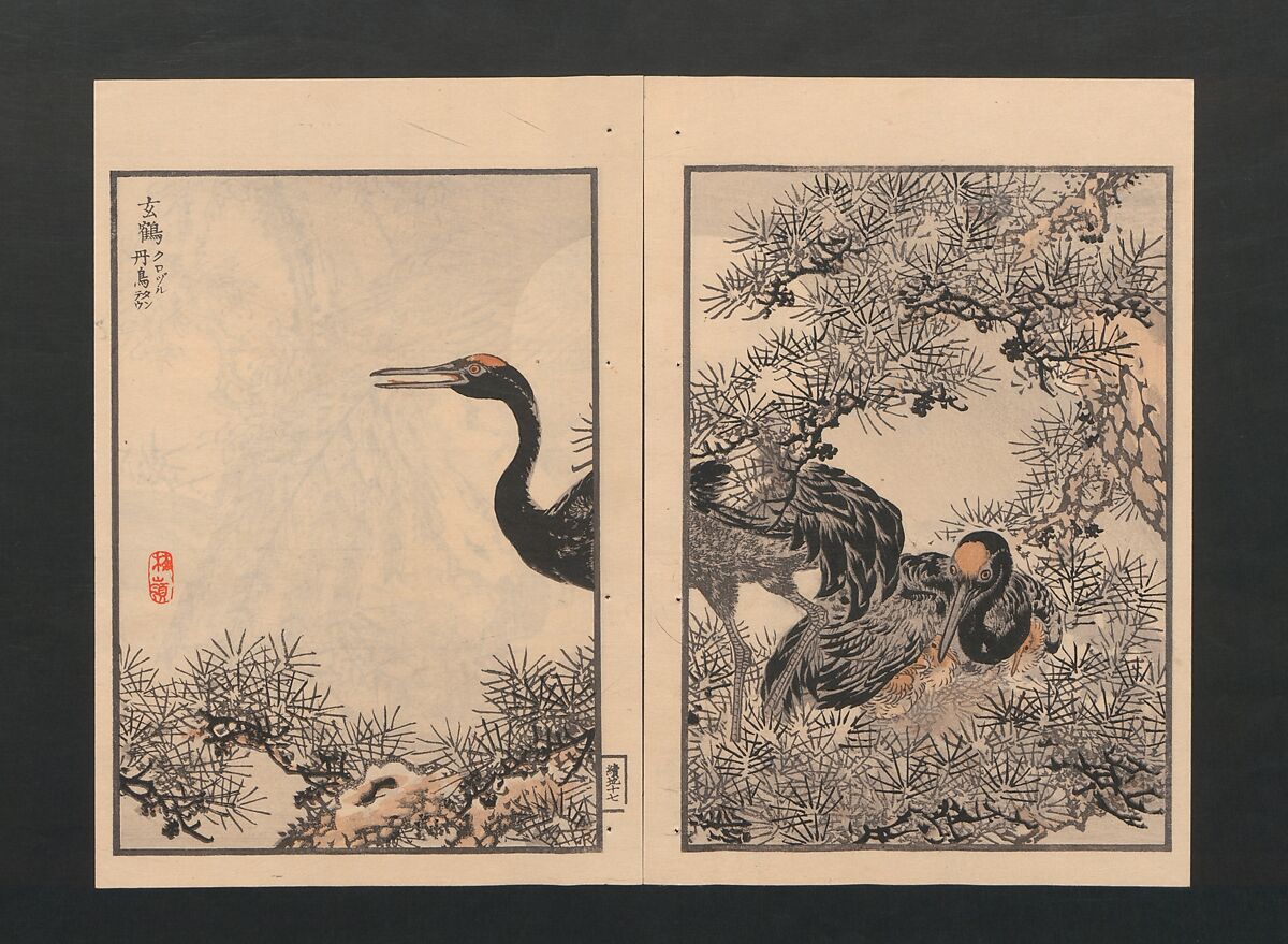 Bairei Picture Album of One Hundred Birds (Bairei hyakuchō gafu) 楳嶺百鳥畫譜, Kōno Bairei  幸野楳嶺 (Japanese, 1844–1895), Set of three polychrome woodblock printed books; ink and color on paper, Japan